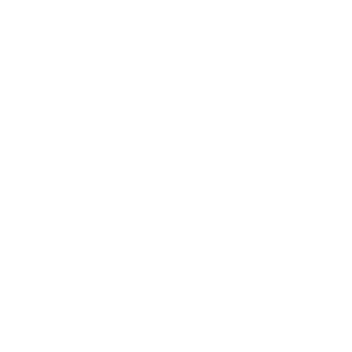 Our Vision